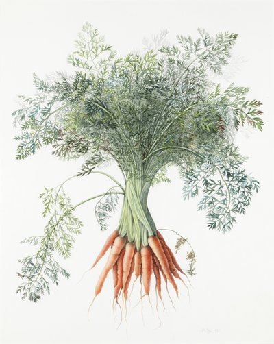 Carrots by Margaret Ann Eden